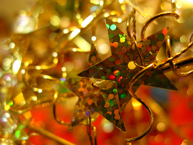 Vánoční hvězdy | Zdroj: flickr.com | Copyright: Luz Adriana Villa A.